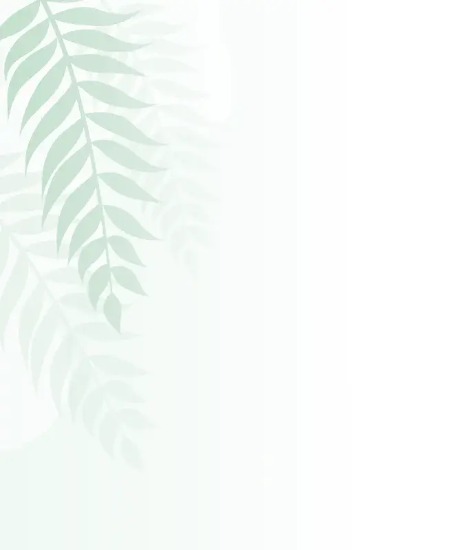 Wholesale Cardamom & Spices - NIH Trading